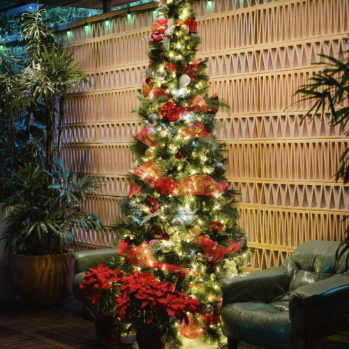 A tall, decorated Christmas tree with lights and red ribbons, surrounded by poinsettias and plants, in a cozy room with wooden accents.