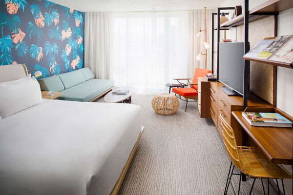 A modern hotel room features a bed, tropical wallpaper, sofa, TV, and desk with a chair, creating a fresh and welcoming atmosphere.