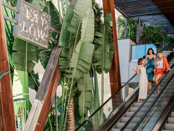 A few people ride an escalator in a lush tropical atrium covered with giant banana leaves.