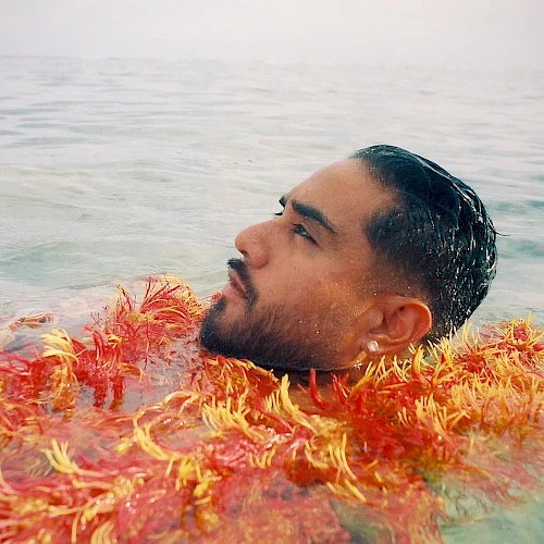 A man is in the water, surrounded by vibrant red and orange seaweed or coral-like textures, looking calmly towards the horizon.