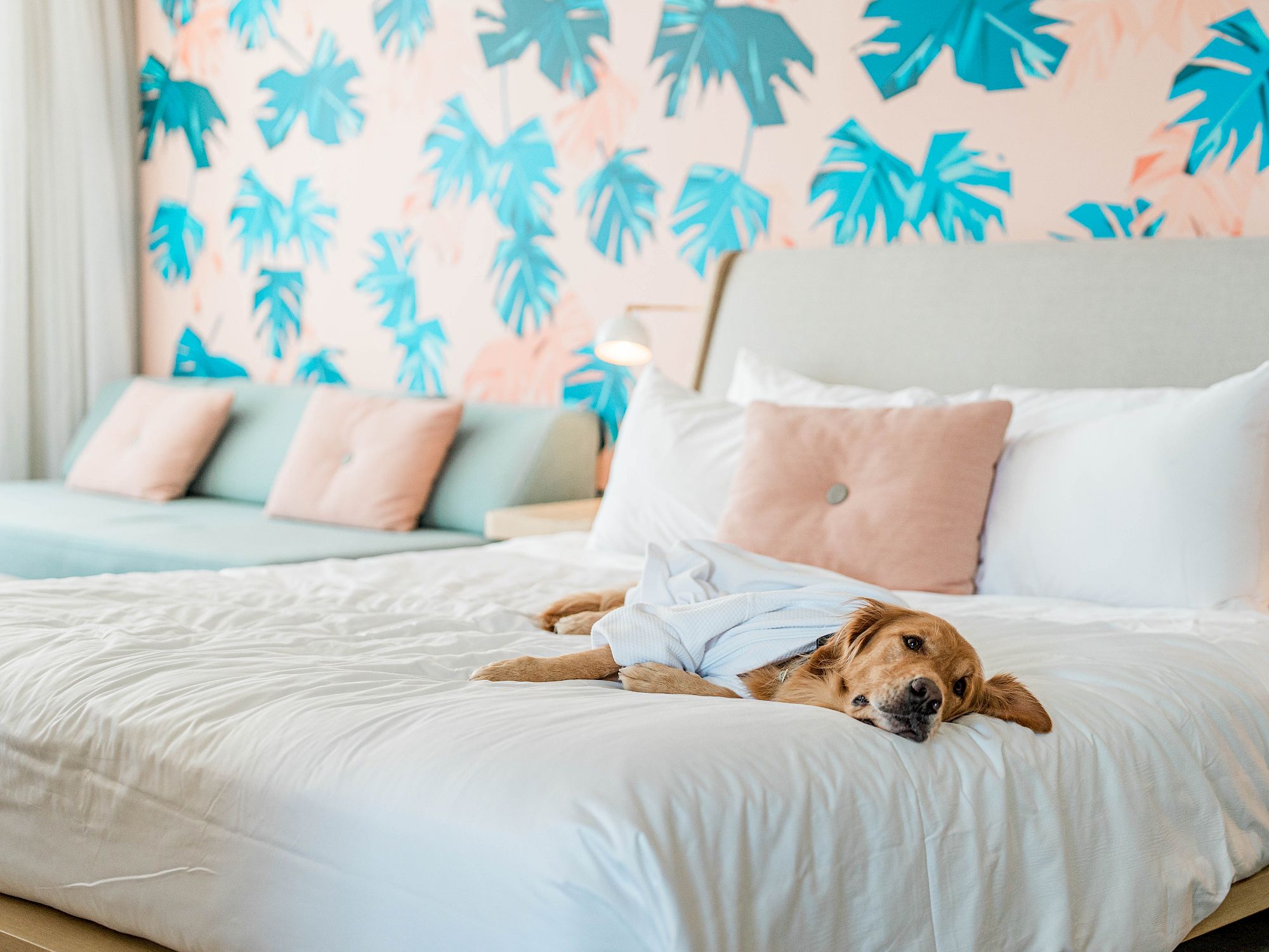 A cozy hotel room with a palm-patterned blue wallpaper, a white bed, pink cushions, and a resting dog on the duvet.