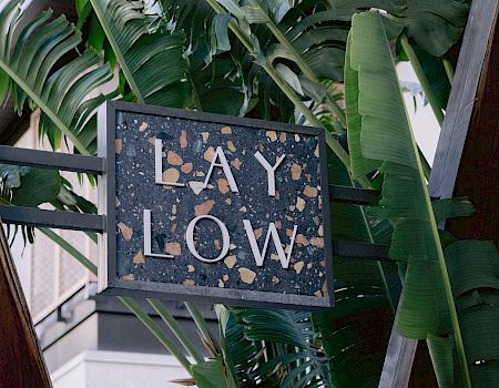 The image shows a sign with the text "LAY LOW" against a backdrop of large green leaves.