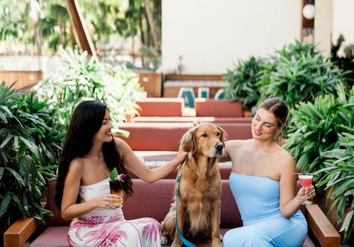 Two women sit on outdoor couches with a golden retriever between them, smiling and chatting beside a tiled table.
