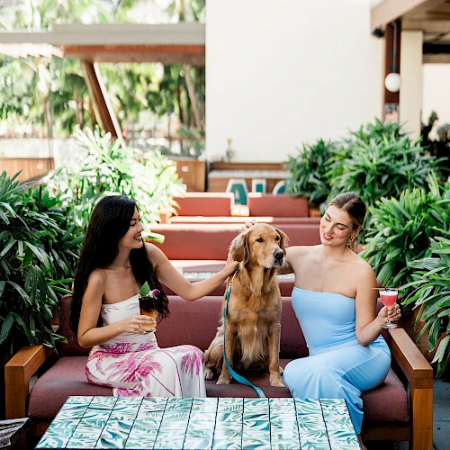 Two women sit on outdoor couches with a golden retriever between them, smiling and chatting beside a tiled table.