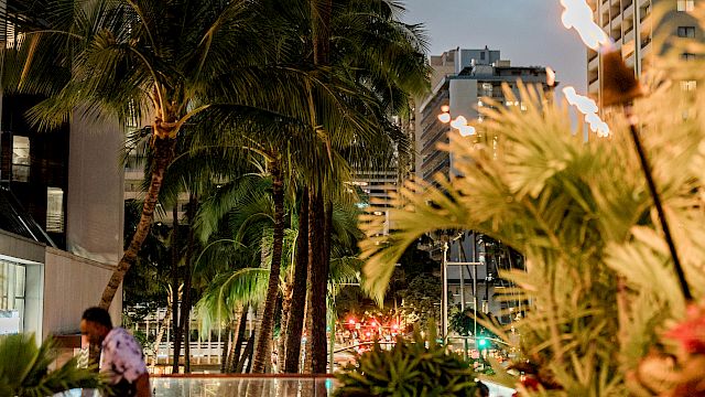 Palm trees amid city towers by a lit pool, evening vibes, people dining and relaxing outdoors.
