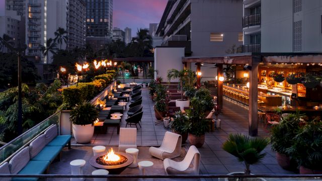 A city rooftop lounge at dusk with palm plants, outdoor seating, warm lights, and fire pits overlooking tall buildings.