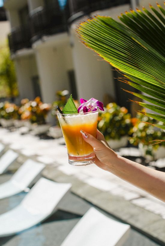 A hand holds an iced orange cocktail by a pool in a glass, garnished with an orchid, with palm leaves overhead.